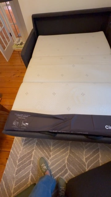 American Leather Comfort Sleeper Loveseat by Circle Furniture – Premier Mattress