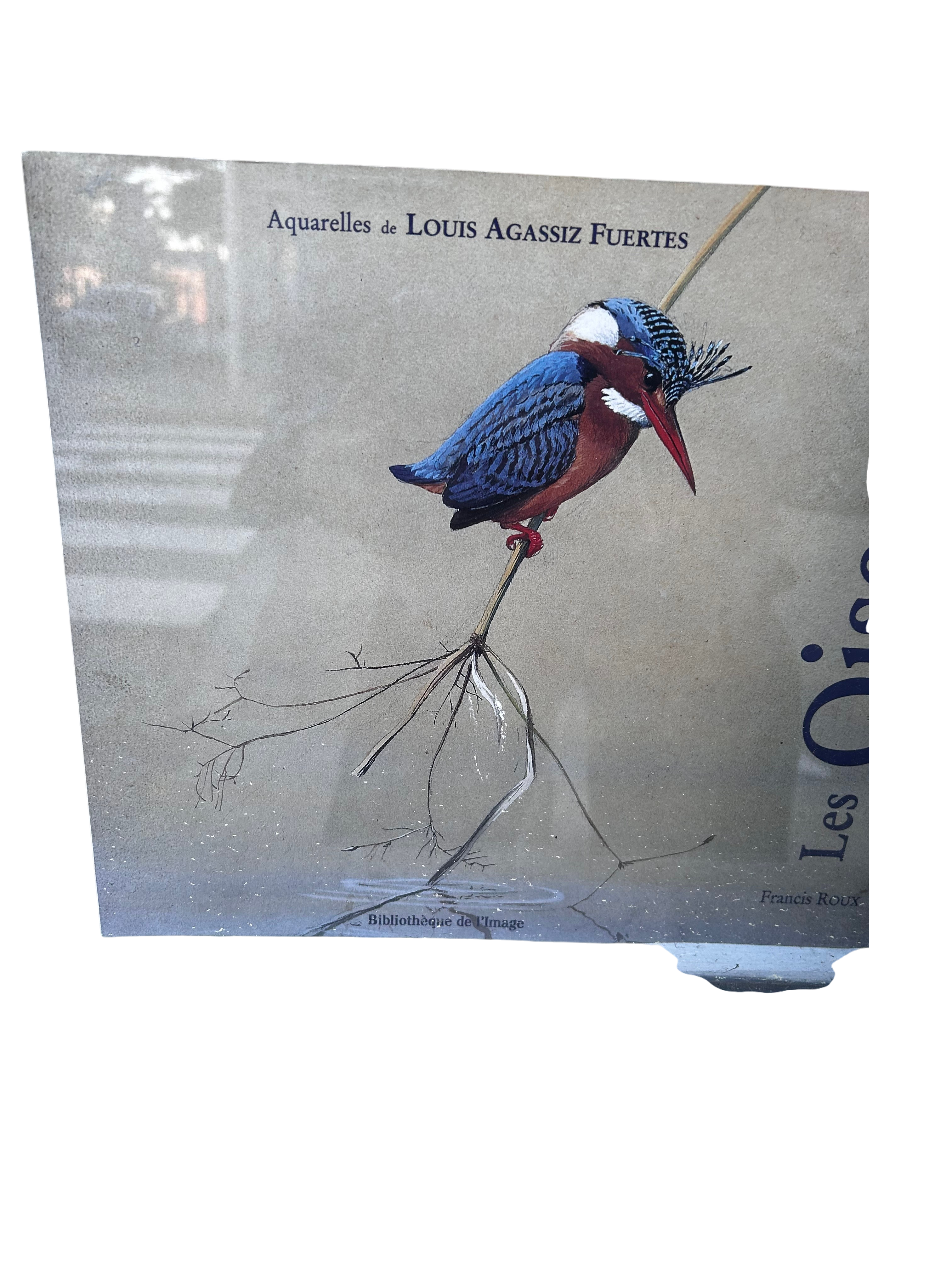 Les Oiseaux Book