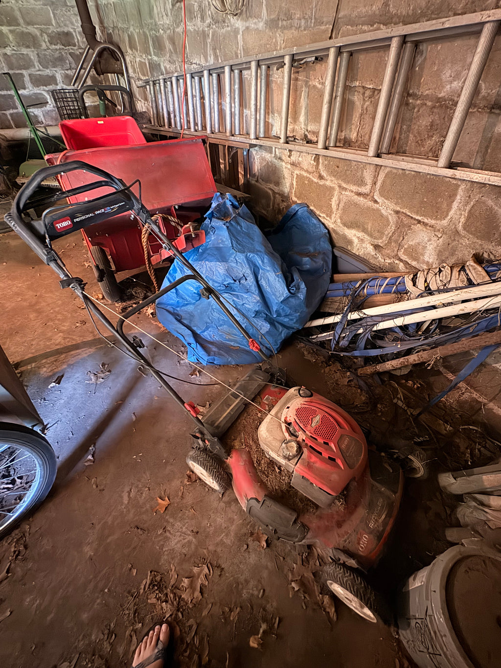 Toro Walk-Behind Lawn Mower – Stoneham MA