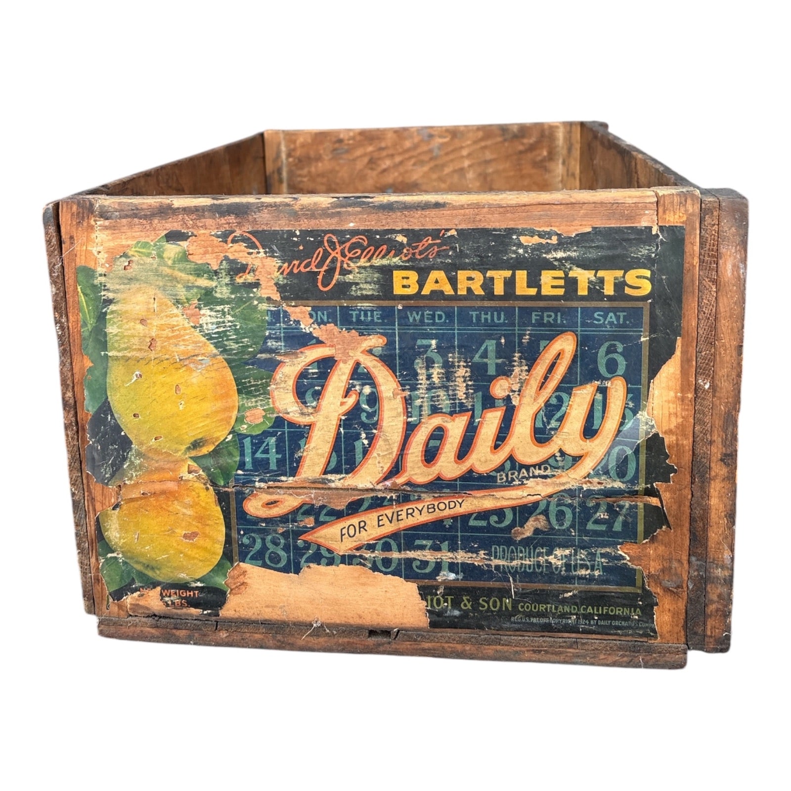 Vintage Daily Brand Bartlett Pear Crate – Elliot & Son Courtland California