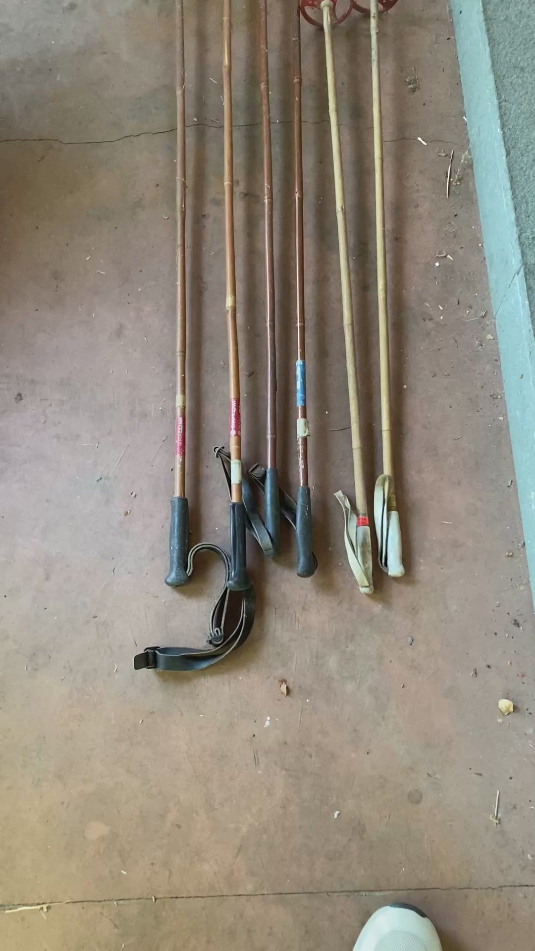 Vintage Bamboo Ski Poles Collection — Mixed Makers Including Montag, 6 Poles