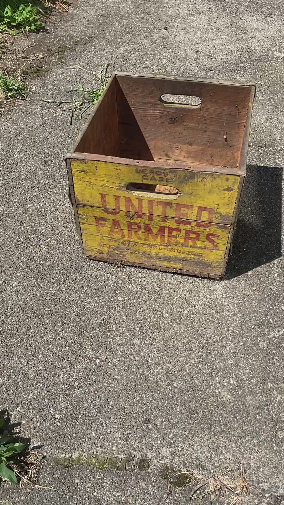 Vintage Daily Brand Bartlett Pear Crate – Elliot & Son Courtland California